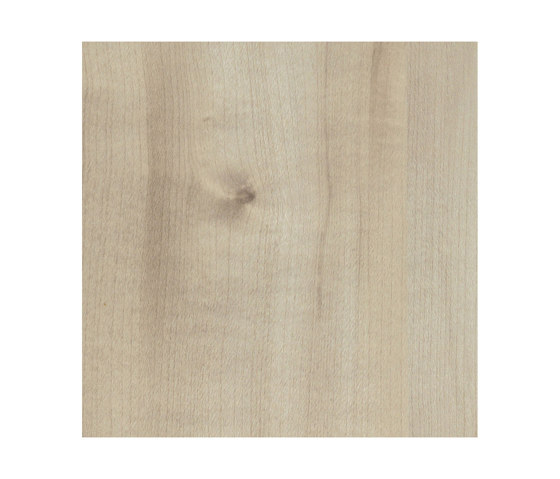 Agostino Maple | Wood panels | Pfleiderer