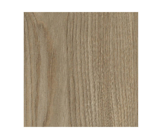 Ash Firenze Dark | Wood panels | Pfleiderer