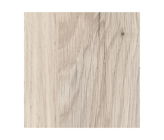 Maryland Oak | Holz Platten | Pfleiderer