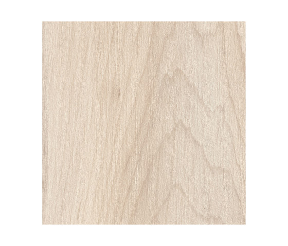 Arlington Maple | Wood panels | Pfleiderer