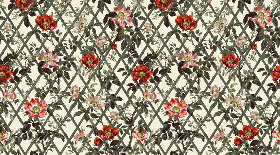 BRYHER ROSE Wallpaper - Cinnabar | Carta parati / tappezzeria | House of Hackney