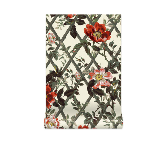 BRYHER ROSE Wallpaper - Cinnabar | Wall coverings / wallpapers | House of Hackney