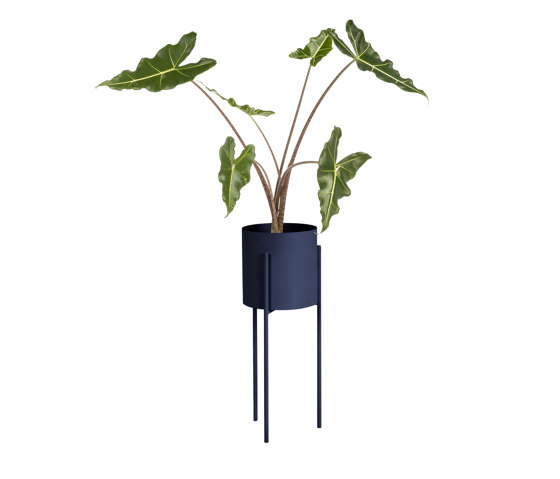 Maki Plant Pot – Tall | Storm Blue |  | noo.ma