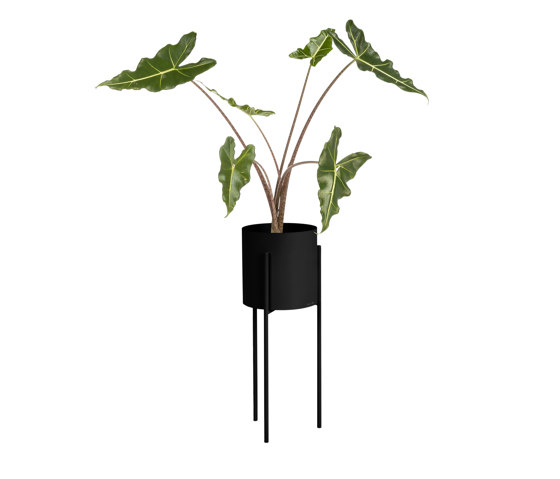 Maki Plant Pot – Tall | Vulcano Black |  | noo.ma