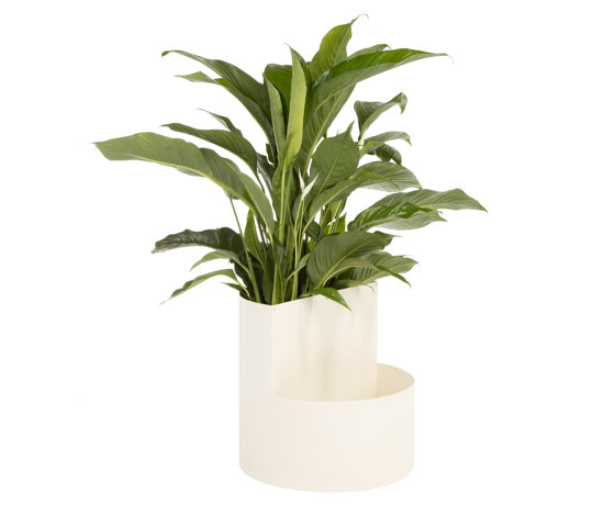 Owal Plant Pot | Piazza Beige |  | noo.ma