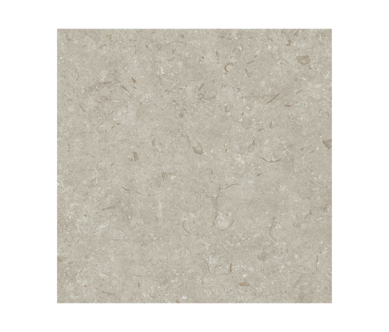 Fósil gris | Ceramic tiles | Grespania Ceramica