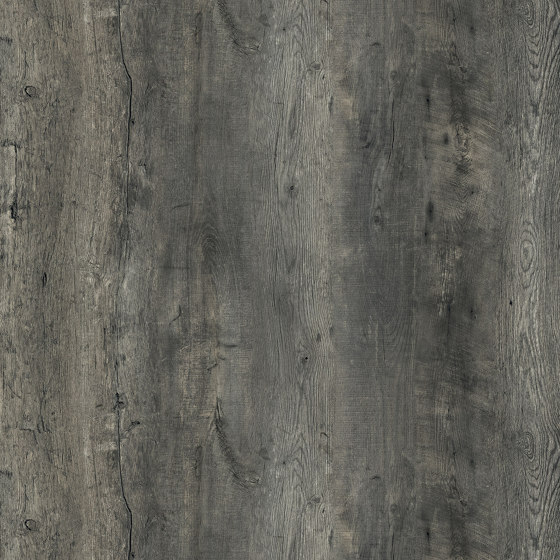 RESOPAL Woods | Senior Oak Grey | Habillage mural stratifié | Resopal