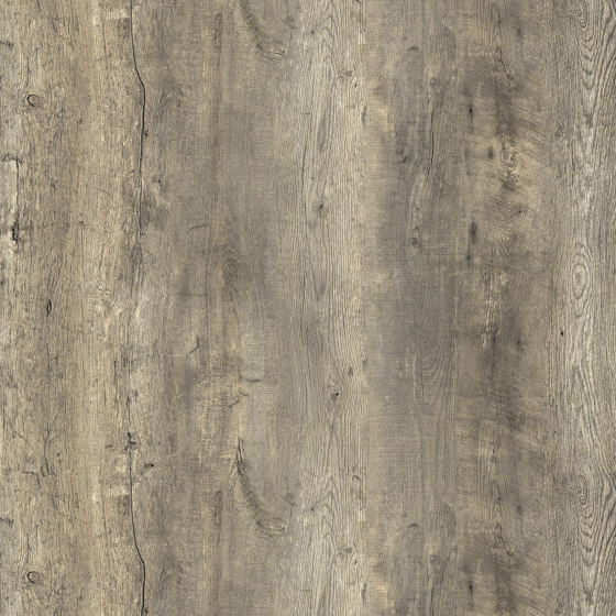 RESOPAL Woods | Senior Oak Natural | Laminati pareti | Resopal