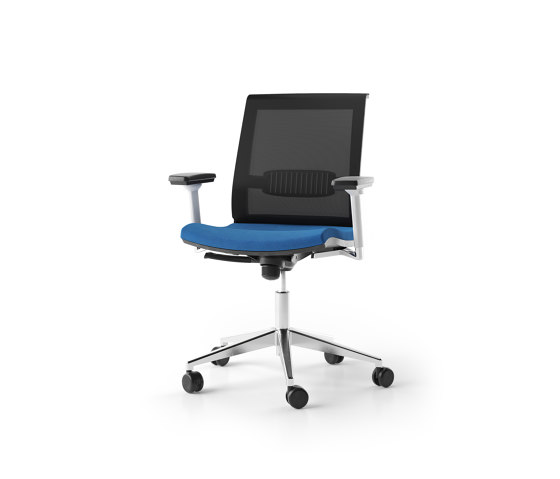 Eva Task Chairs | Sillas de oficina | Narbutas
