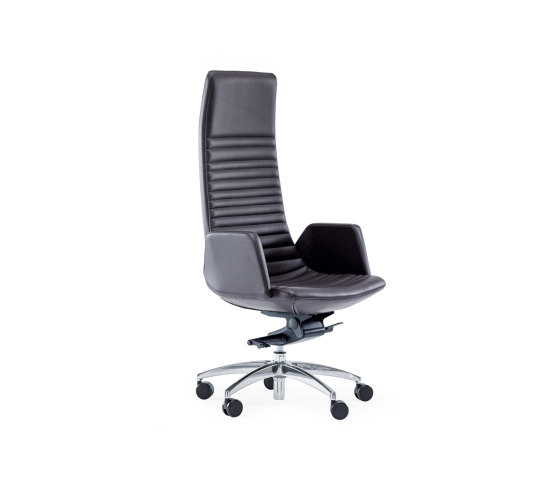 North Cape Executive Chairs | Office chairs | Narbutas