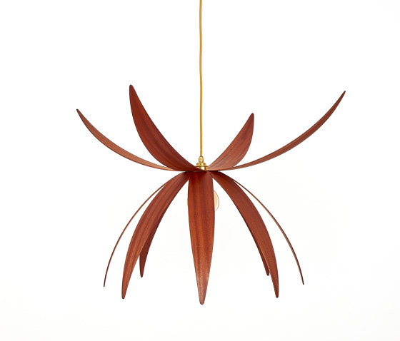 Stella | Ceiling Light - Small | Suspensions | ALAN HORGAN STUDIO