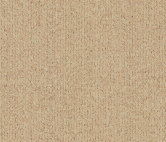 Concept One 7308 Arena | Rugs | OBJECT CARPET