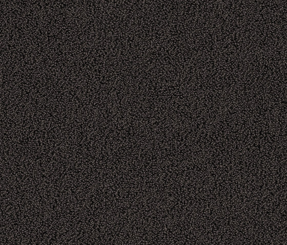 Gloss 7914 Baie Noire | Alfombras / Alfombras de diseño | OBJECT CARPET