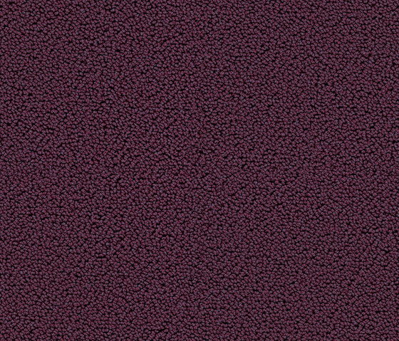 Highloop 7711 Blueberry | Rugs | OBJECT CARPET