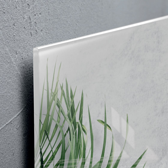 Tableau magnétique en verre Artverum, motif Botanic, 91 x 46 cm | Chevalets de conférence / tableaux | Sigel