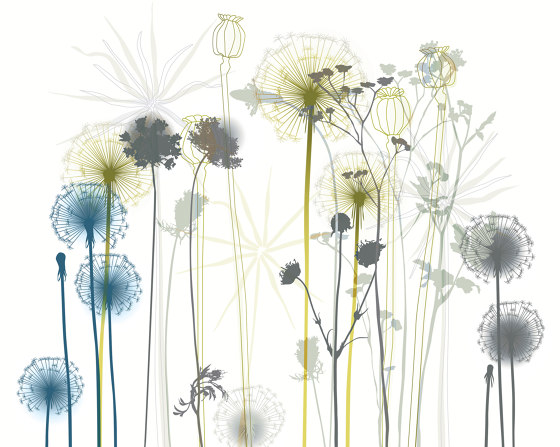 Dandelion | 111_002 | Wall coverings / wallpapers | Taplab Wall Covering