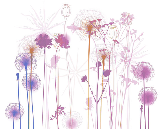 Dandelion | 111_003 | Wall coverings / wallpapers | Taplab Wall Covering