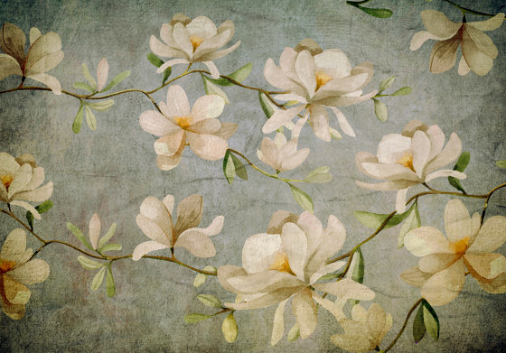 Magnolie | 232_002 | Revêtements muraux / papiers peint | Taplab Wall Covering