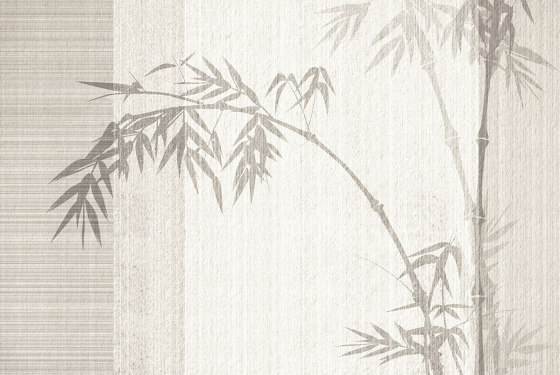Bambua | 459_004 | Carta parati / tappezzeria | Taplab Wall Covering