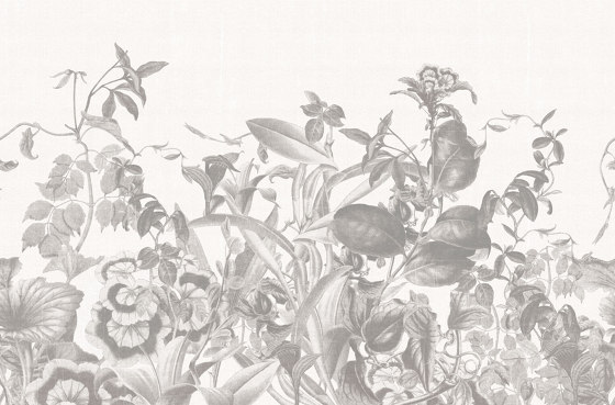Herbarium | Carta parati / tappezzeria | LONDONART