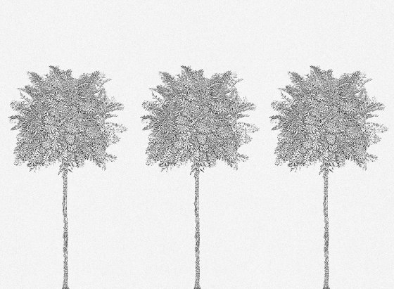 Trees | Revêtements muraux / papiers peint | LONDONART