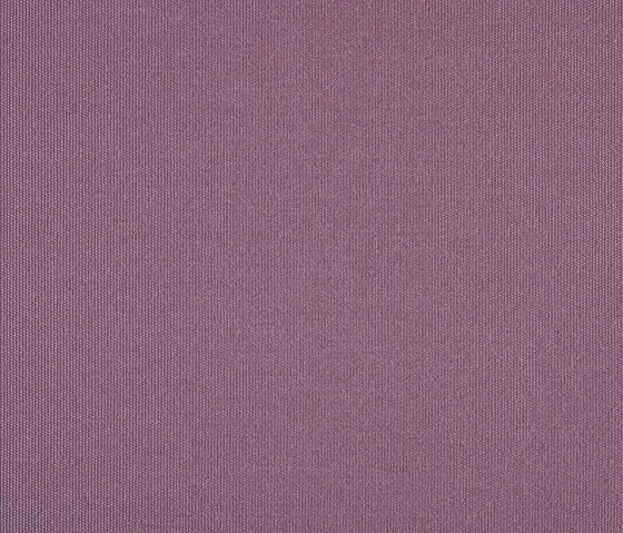 Liso | Grape | Drapery fabrics | Agora