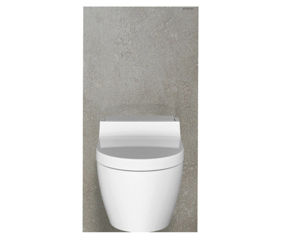 Monolith | sanitary module stoneware concrete | Flushes | Geberit