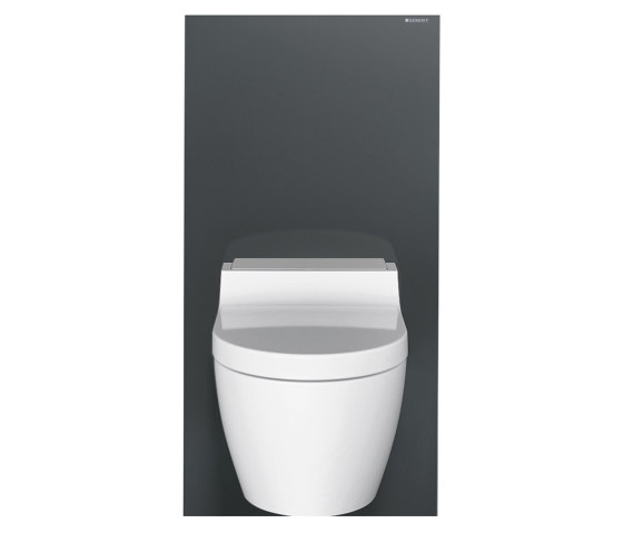 Monolith | sanitary module lava / glass | Rubinetteria WC | Geberit