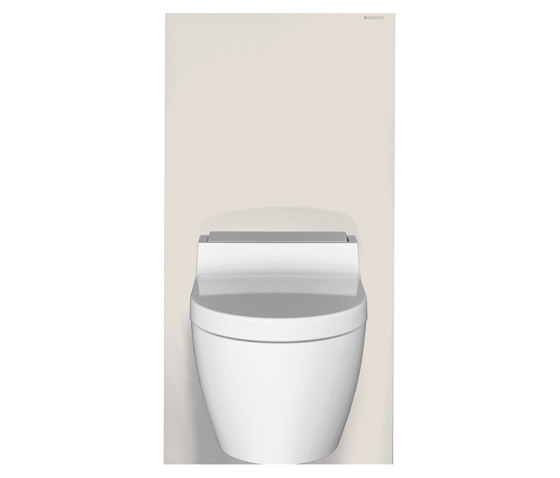 Monolith | sanitary module sandgrey | Flushes | Geberit