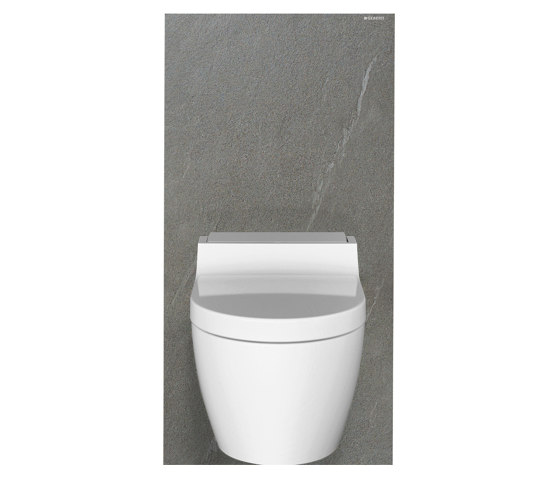 Monolith | sanitary module stoneware slate | Flushes | Geberit