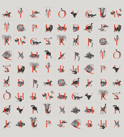 Animal Codex | Carta parati / tappezzeria | Wall&decò