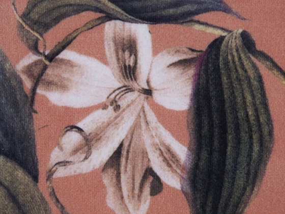 Fleur De Lis Bonbon | Tissus de décoration | Agena