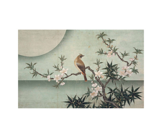 Bird on peach blossom | Revestimientos de paredes / papeles pintados | WallPepper/ Group