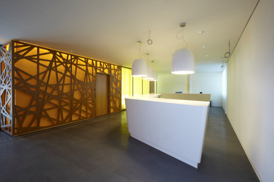 Plywood design | Wall Claddings | Panneaux muraux | Bruag