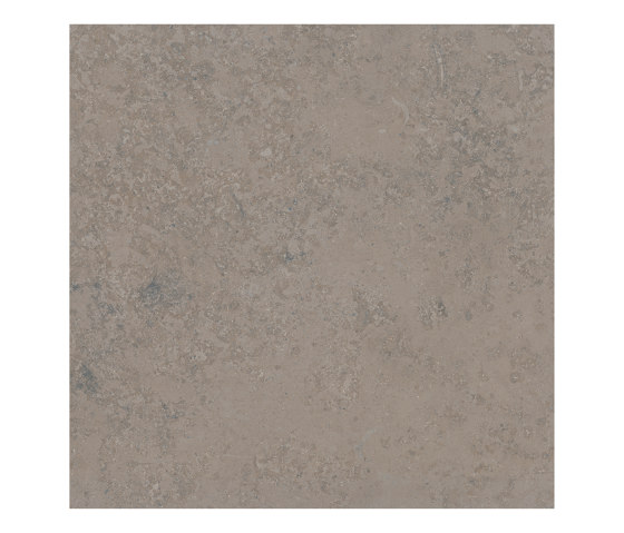LIMESTONE grey 75x75 | Piastrelle ceramica | Ceramic District