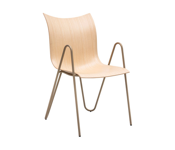 PEEL wood chair | Sedie | VANK