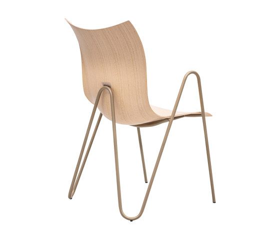 PEEL wood chair | Sillas | VANK