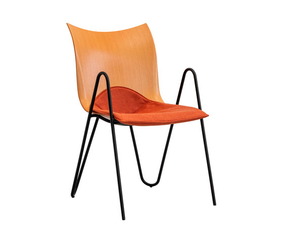 PEEL wood chair, orange | Chairs | VANK