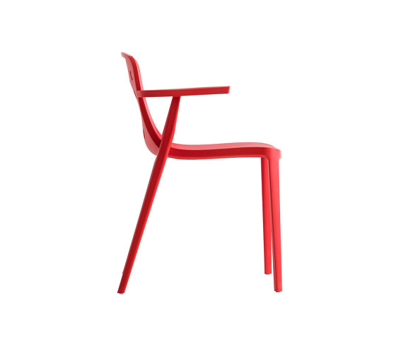 Isidora B | Chairs | Gaber