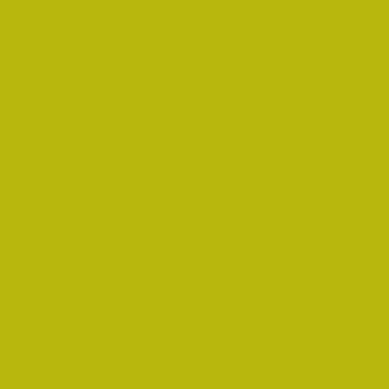 RESOPAL Plain Colours | Carambola | Wand Laminate | Resopal