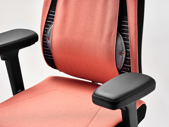 black dot+ ID | Office chairs | Sedus Stoll