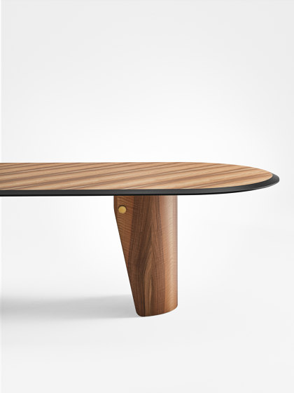 Manto Oval | Dining tables | Gallotti&Radice