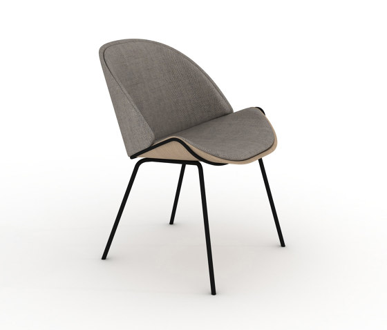 Dania Collection Chair | Sedie | Momocca