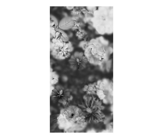 Blossom Black&White - Decor Slabs 120x240 - Panel B | Baldosas de cerámica | Devon&Devon