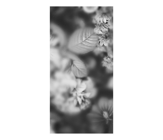 Blossom Black&White - Decor Slabs 60x120 (set di 4 pz.) | Piastrelle ceramica | Devon&Devon