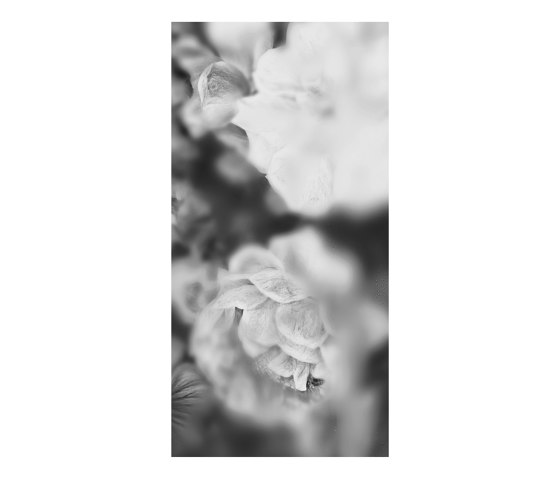 Blossom Black&White - Decor Slabs 60x120 (conjunto de 4 pzas) | Baldosas de cerámica | Devon&Devon