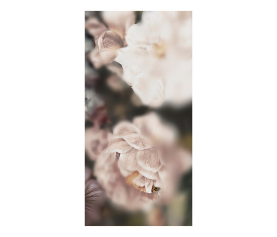 Blossom Dark - Decor Slabs 60x120 (set di 4 pz) | Piastrelle ceramica | Devon&Devon