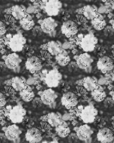 Tapete Blossom Black&White | Wandbeläge / Tapeten | Devon&Devon