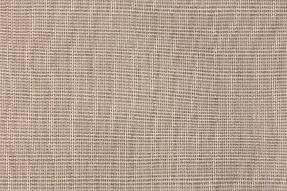 Aramesh 157 | Drapery fabrics | Fischbacher 1819