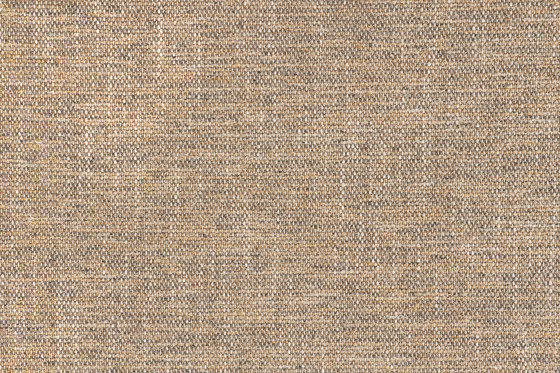 Baran 903 | Upholstery fabrics | Fischbacher 1819